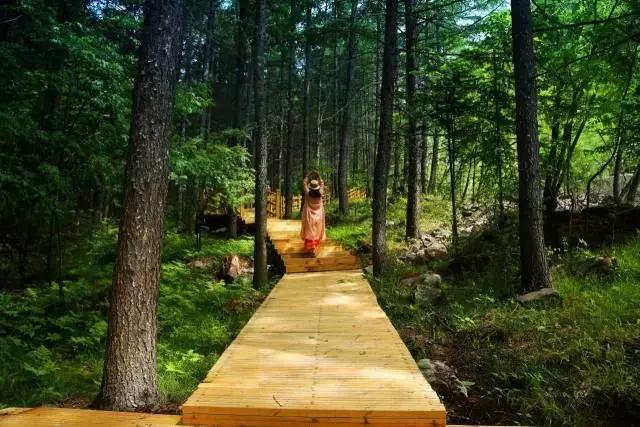 黑水彩林秘境,阿坝藏族羌族自治州黑水彩林