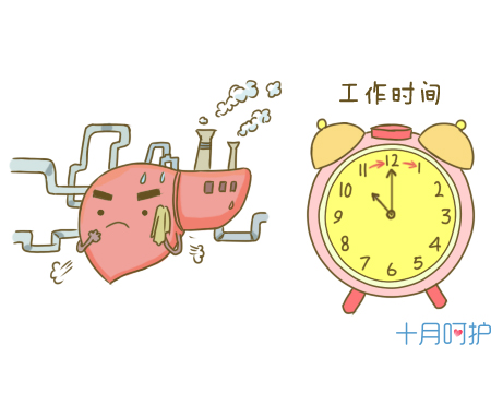 孕期降火的办法有哪些食物,孕期能够吃什么降火的东西