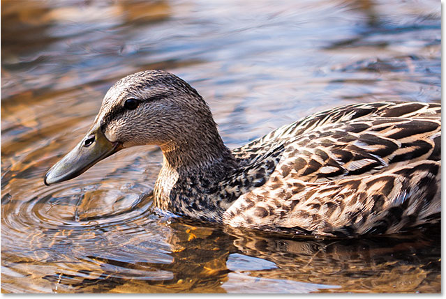 ps精修教程详细讲解阴影和高光,ps怎么修阴影和高光