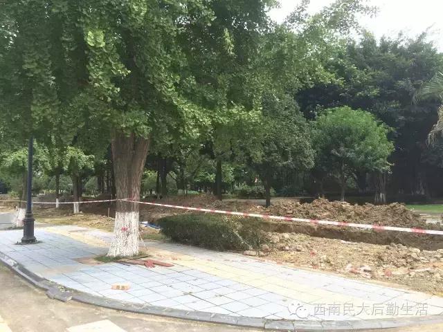 西南民族大学航空港校区官网,西南民族大学西航港校区