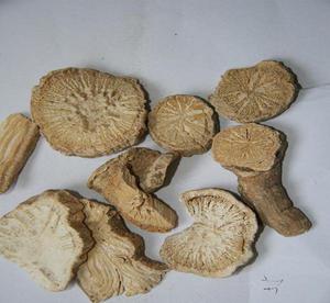 护肝抗病毒中草药,抗病毒的中药对肝脏有什么功能