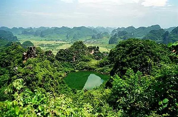 拒绝秋老虎，去武宣寻润燥清心绿世界