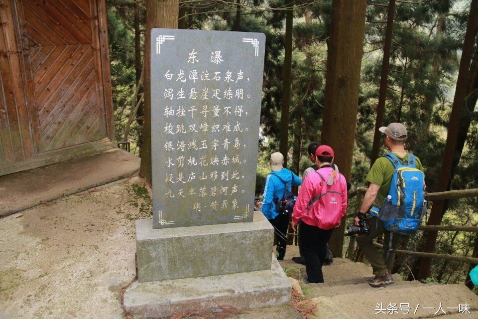 漫游天目山,探幽天目山森林之旅