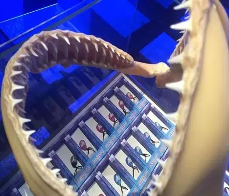 中国最便宜的大鱼怎么做才好吃,最好吃的野生大鱼