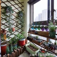 混了那么久，还以为自己是*江老**湖———看后真心乐了