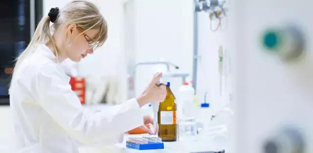 如何选正确狗狗粮,选好狗狗的六种技巧