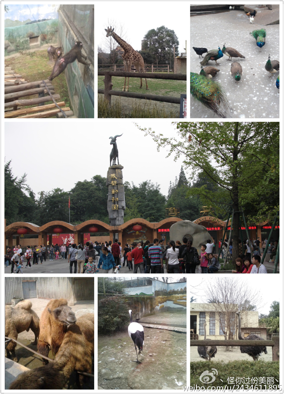 成都私人美食攻略,成都美食攻略人均50