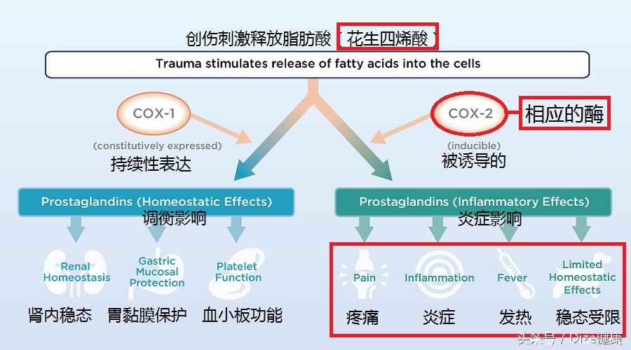 止疼药有忌口吗,止疼药的用药原则
