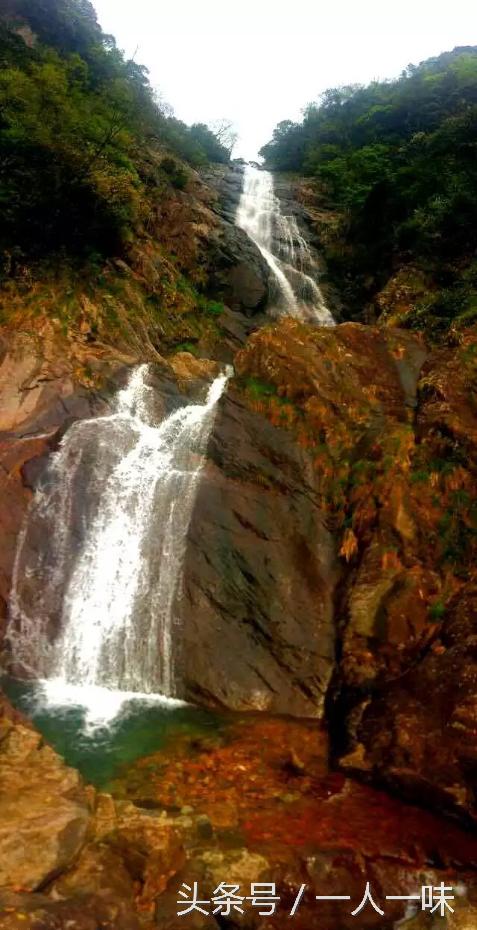 漫游天目山,探幽天目山森林之旅