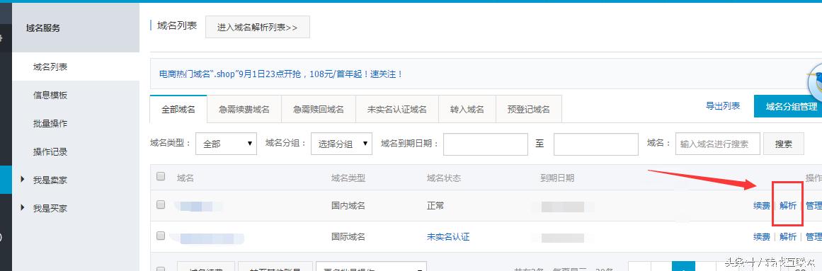 网站域名解析后怎么进行下一步,怎么查看网站域名解析告捷