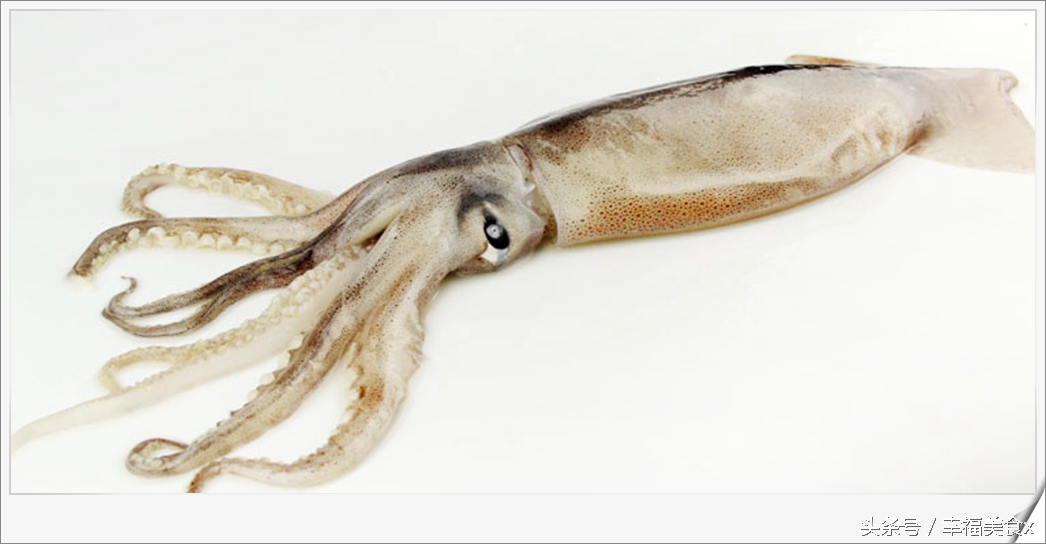 开海后去海边看的第一波海鲜,开海季鲅鱼带鱼