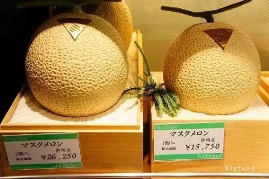 东京旅游必买的十大景点,东京购物必买排行榜