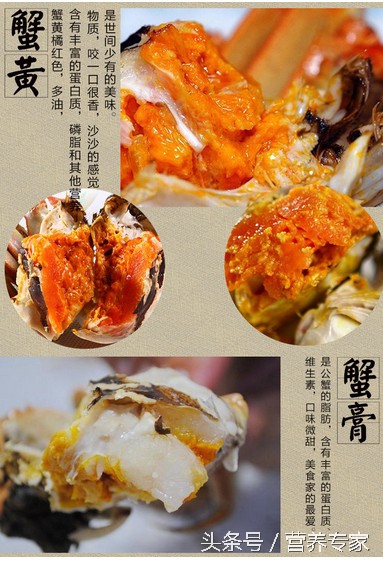 大闸蟹母蟹和公蟹的区别哪个好吃,大闸蟹公蟹好吃还是母蟹