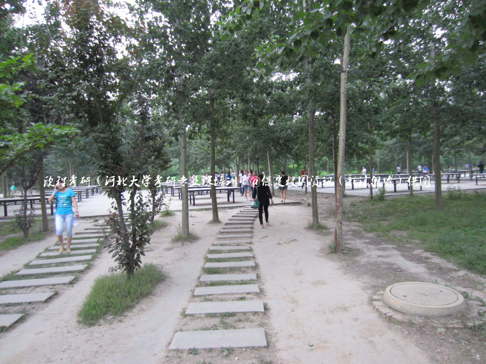 最美校园保定学院,河北最美的学院