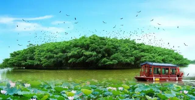 江门中秋节合适出游的地方,中秋去哪里赏月这几处预约火爆