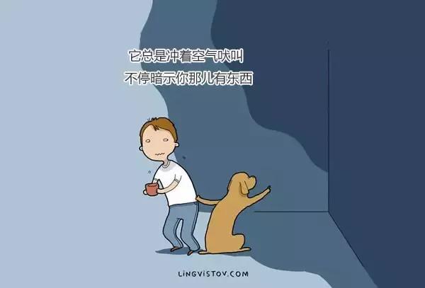 插画师养狗的24个日常,世界上最火的狗插画作品