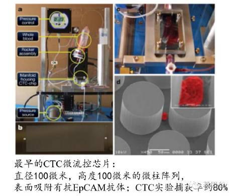 循环肿瘤细胞ctc检测技术,液体活检ctc多少费用