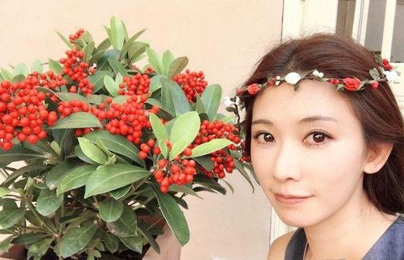 林志玲减龄短发,林志玲短发发型