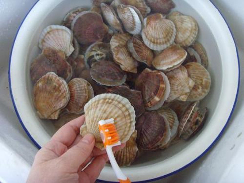 这是一篇有味道的文章~喜欢海产品的你还不进来一观