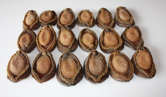 这是一篇有味道的文章~喜欢海产品的你还不进来一观