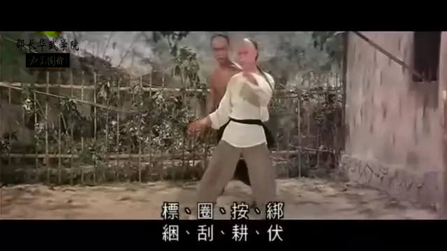 咏春拳败家仔完全视频,败家仔咏春拳口诀