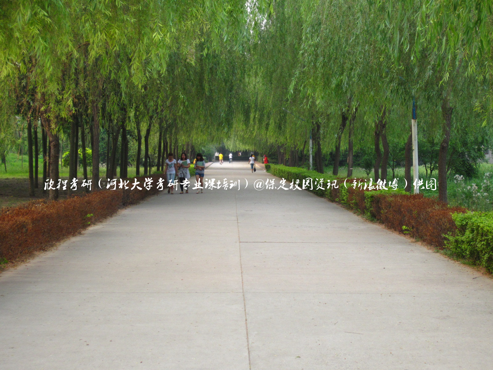 最美校园保定学院,河北最美的学院