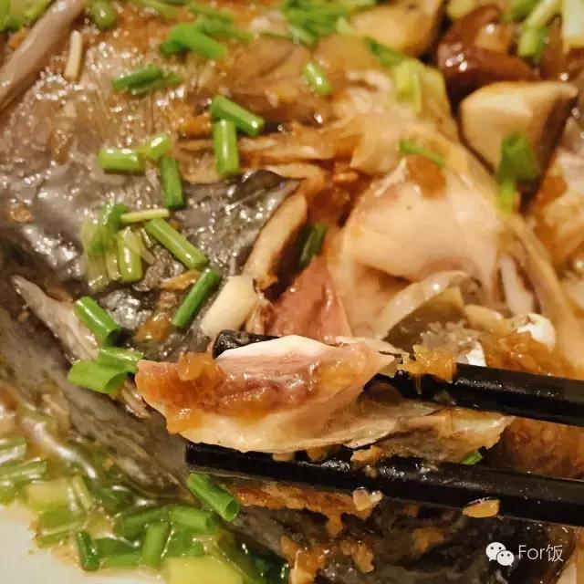 For饭说｜弄堂里的“大小姐”，这家店的鱼头有不可思议的美味