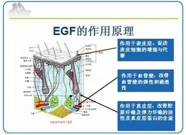 名医专访,行家医生谈敏感肌肤