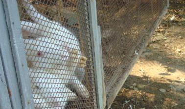 湘潭和平公园动物园星期天开放吗,湘潭市动物园的近况