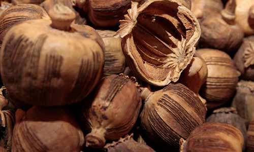 护肝抗病毒中草药,抗病毒的中药对肝脏有什么功能