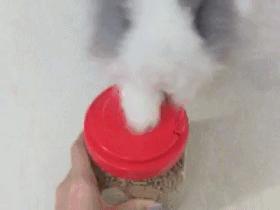 听说宠物兔是女神收割机但是兔兔不乖怎么办？