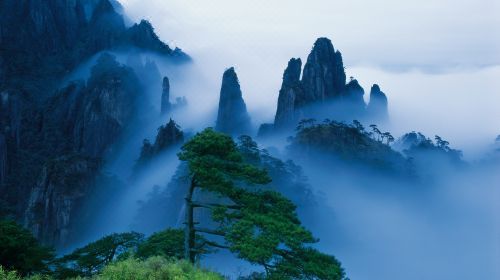 钃濋泚,钃濋泚浣滃搧