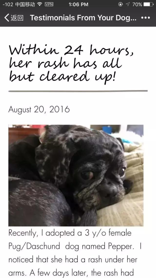 如何选正确狗狗粮,选好狗狗的六种技巧