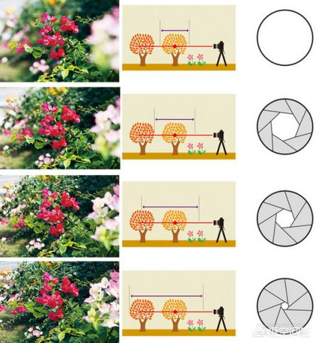 单反相机基本按键和实际拍摄,单反相机快门怎么按