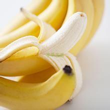 孕妇能够吃的补气血的中药有哪些,有哪些药孕妇绝对不能用