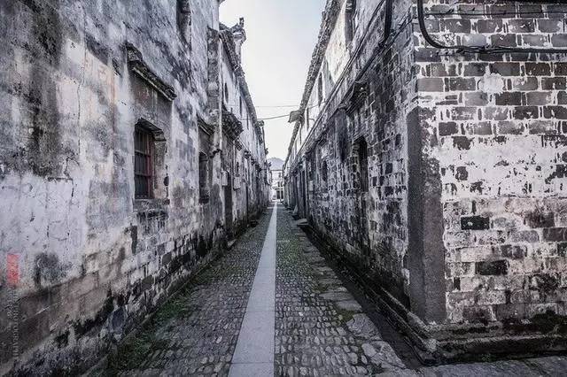 淘学到浦江│孩子们都说美的地方，一定很美！（获奖作品）