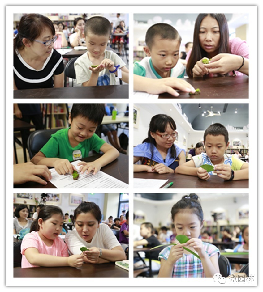 园博馆科普讲座丨植物的秘密与功能