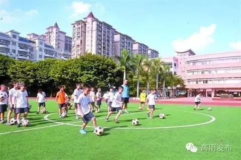 高明世界冠军,世界冠军是不是都要有天分