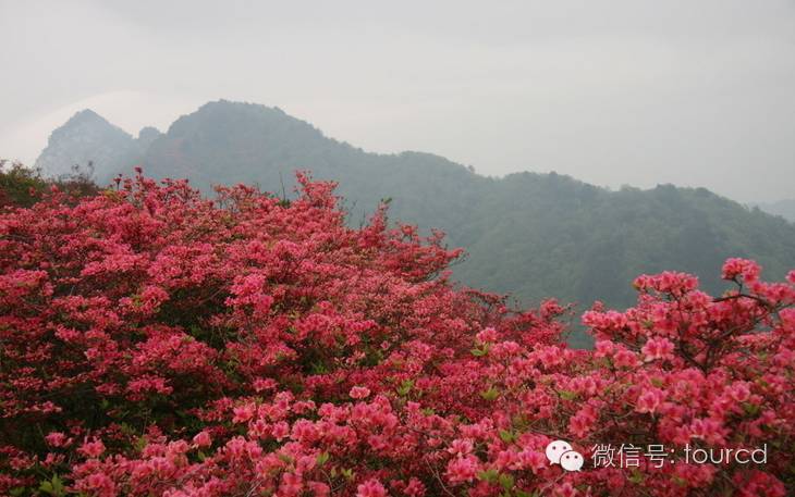 承德周边一日游的绝佳去处,承德周边四月份合适去哪旅游