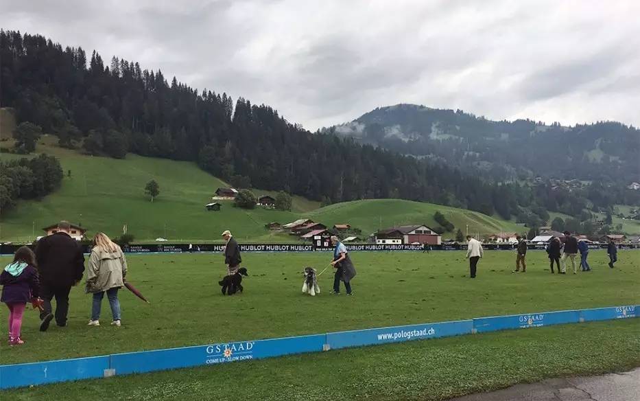 hublot宇舶表陀飞轮腕表,宇舶夏季腕表