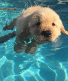 冷段子笑话经典篇,史上最强的十则笑话笑点低的勿入