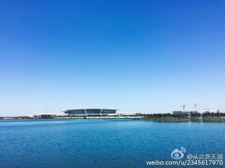 天津蓝眼泪视频,天津蓝眼泪最新视频