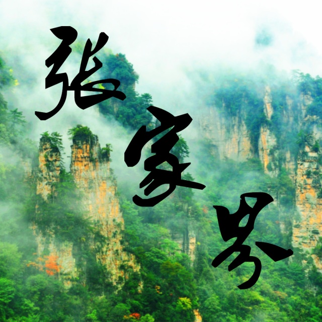 我市启动志愿者服务春运暖冬行动,春运志愿服务暖冬行动招募