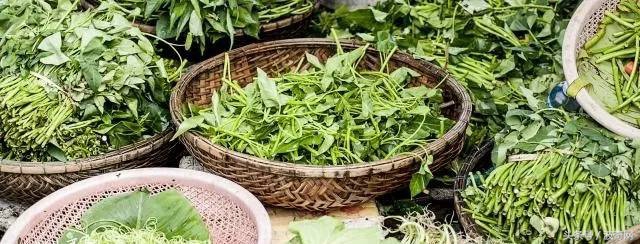 除了吃狗粮狗狗还能吃什么,狗狗能每天喂狗粮加鸡胸肉吗