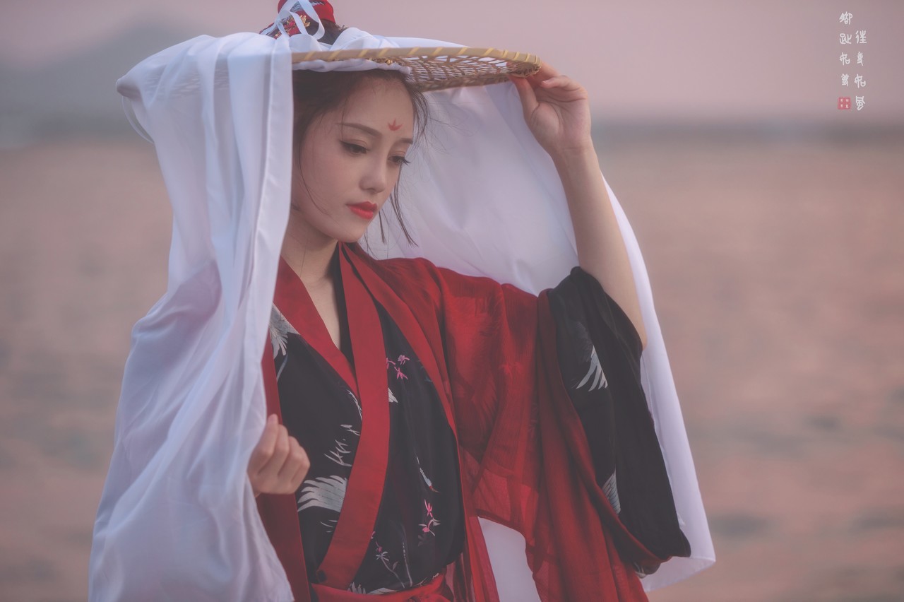 穿越到古代成王爷小妾的小说,有关穿越到古代成王妃的小说