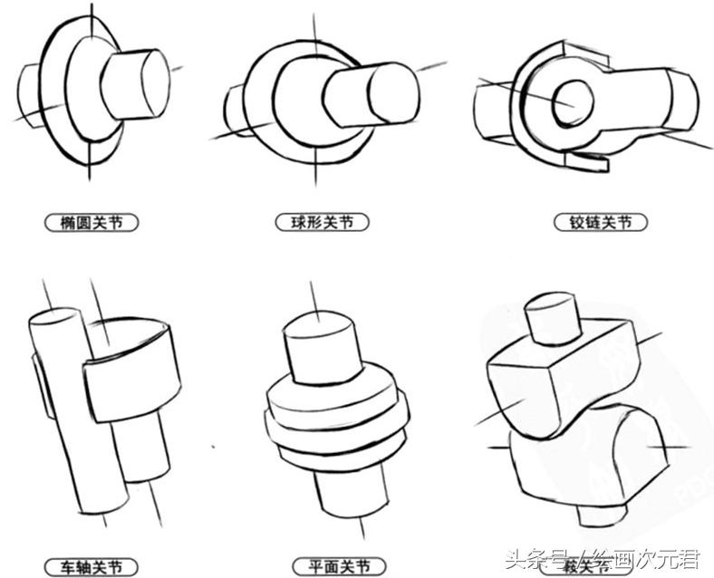 人体结构动态,动态素描·人体结构