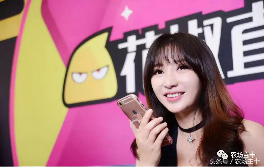 农产品众筹方案,为什么众筹没了