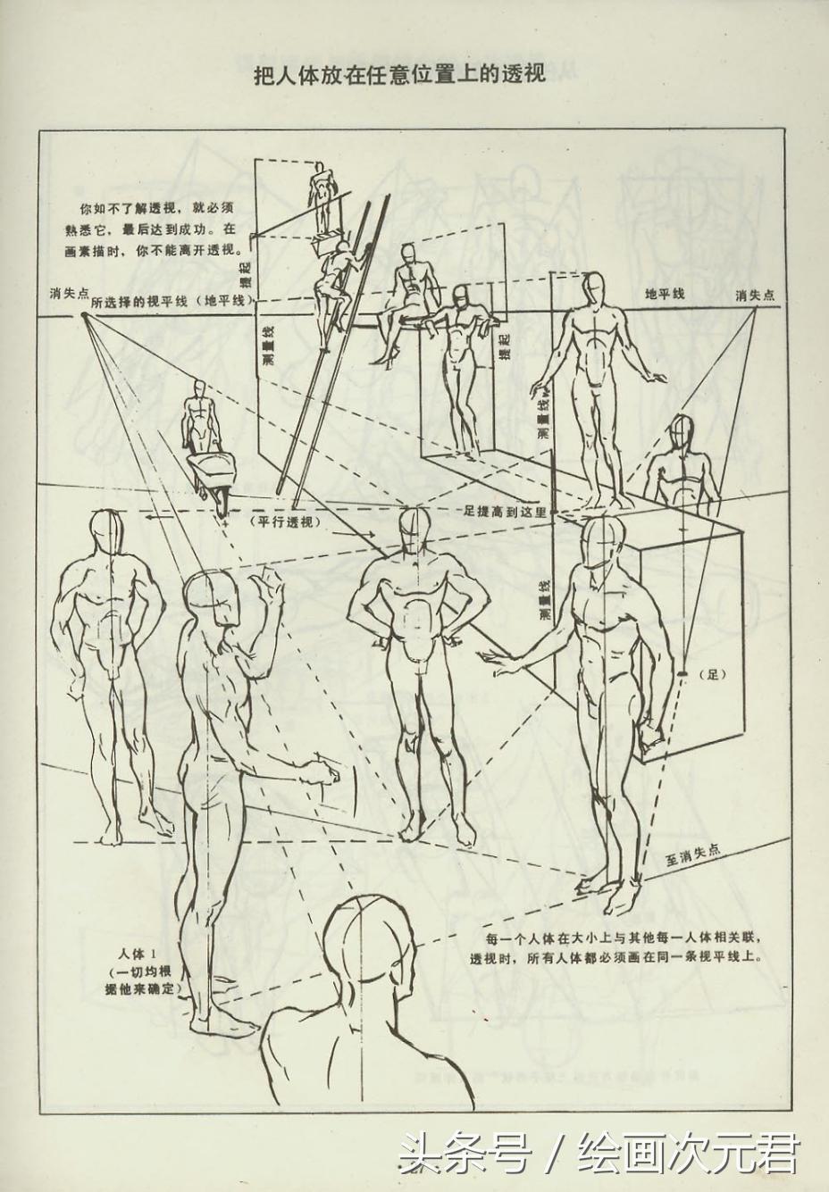 人体结构动态,动态素描·人体结构