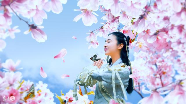 小说：：医毒翘楚穿到相府嫡女身上，毒术再现！