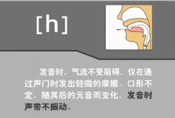 音标表48个国际音标发音教学视频,英语美式音标48个音标谐音图